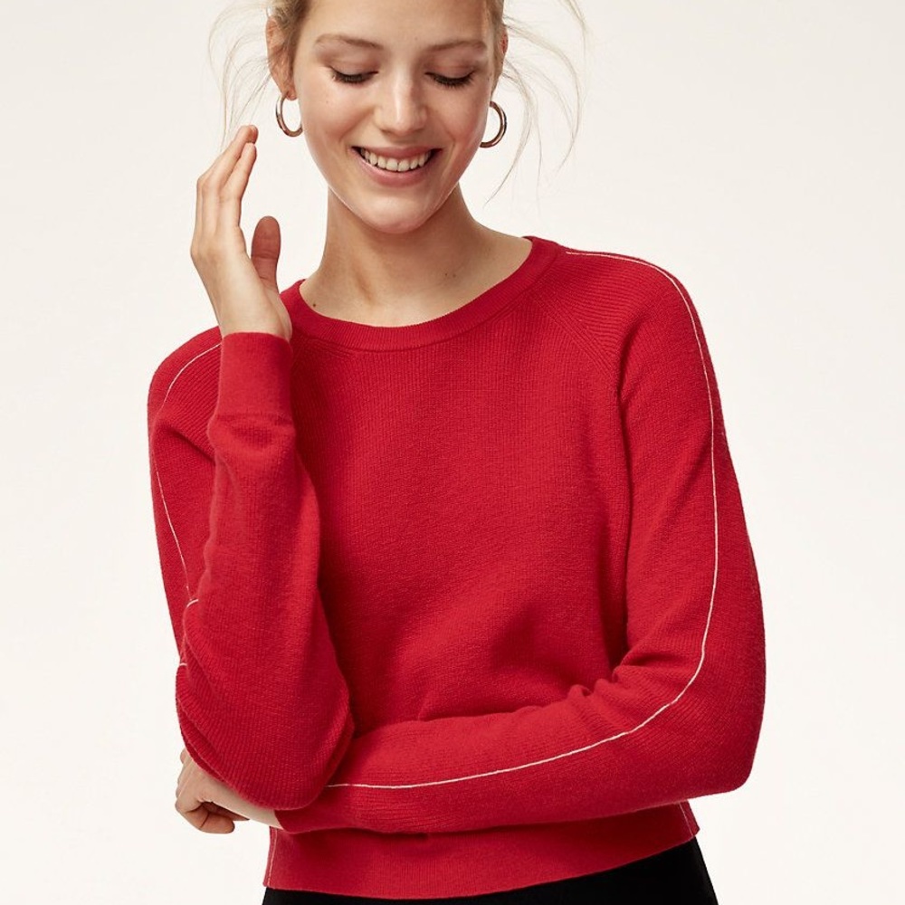 Aritzia Babaton ARTEM SWEATER